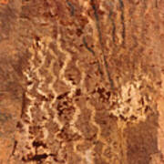 Palatki Pictographs3 Pnt Poster