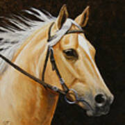 Palomino Horse Portrait Poster