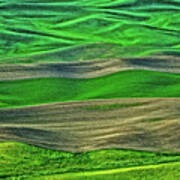 Palouse Textures Poster