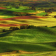 Palouse Poster