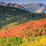 Panoramic Fall Colors In The Wasatch Back. Poster