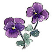 Pansies Poster