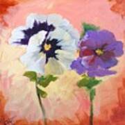 Pansies Poster