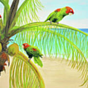 Parrot Beach Poster