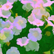 Pastel Flowers Poster