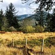 Pasture, Trees, Mountains Sky Poster