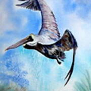 Pelican In Flight Poster