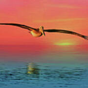 Pelican Sunset Poster