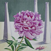 Peony Still Life Poster