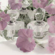 Petunias And Perfume - Soft Poster