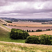 Pewsey Downs - Wiltshire, England - Fine Art Photography Poster