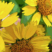 Yellow Wildflowers Photograph Ii Poster