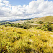 Picturesque Tasmanian Field Landscape Poster