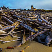 Piles Of Driftwood Poster