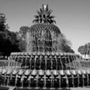 Pineapple Fountain Charleston Sc Black And White Poster