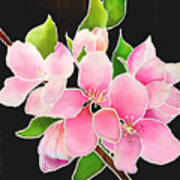 Pink Blossoms On Silk Poster