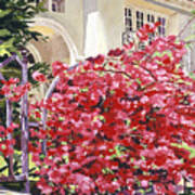 Pink Bougainvillea Mansion Poster
