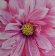 Pink Dahlia I Poster