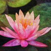 Pink Lotus 4134 Idp_2 Poster