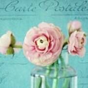 Pink Ranunculus With Text Poster