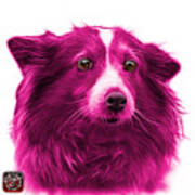 Pink Shetland Sheepdog Dog Art 9973 - Wb Poster