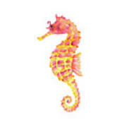 Pink Yellow Seahorse - Square Poster