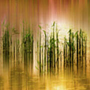 Pond Grass Abstract Poster