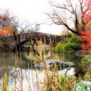 Pond In Central Park Poster