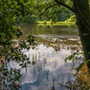 Pond In Spring Poster