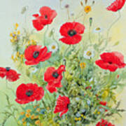 Poppies And Mayweed Poster