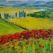 Poppies In Provence Poster