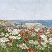 Poppies On The Isles Of Shoals Poster