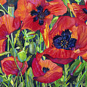 Poppy Profusion Poster