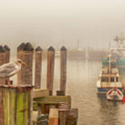 Portland Harbor Morning Poster