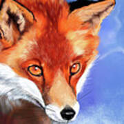 Portrait Of A Fox Poster
