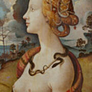 Portrait Of A Woman Called Simonetta Vespucci Poster