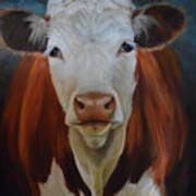 Portrait Of Sally The Cow Poster