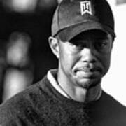 Portrait  Tiger Woods Black White Poster