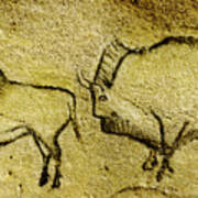 Prehistoric Bison - La Covaciella Poster
