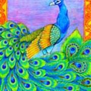 Pretty Peacock Poster