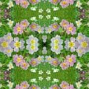 Primula Pattern 1 Double Poster