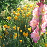 Priscilla With Poppies Poster