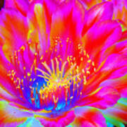 Psychedelic Pink Flower Poster