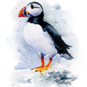 Puffin Poster