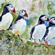 Puffins On Stone Poster