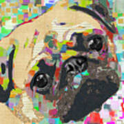 Pug Collage Poster