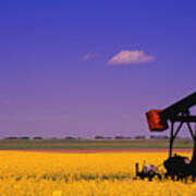 Pumpjack In A Canola Field Poster