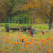 Pumpkins At Langwater Farm Poster