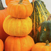 Pumpkins On Table Poster