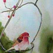 Purple Finch Poster